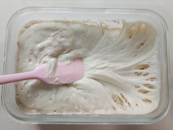 發酵完成的液種除了有氣泡外，還會有蜂窩狀組織。