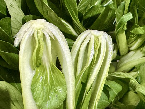 ●備料時先把青菜泡水洗，青江菜泡水換水洗凈每棵切對半再一棵棵沖洗莖部凹槽，避免卡土沒洗乾淨。