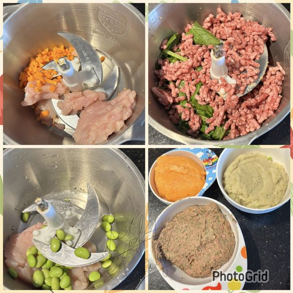拿出料理機
紅蘿蔔+1/2雞胸肉，絞成團
毛豆+1/2雞胸肉，絞成團
菠菜+1盒牛肉，絞成團
