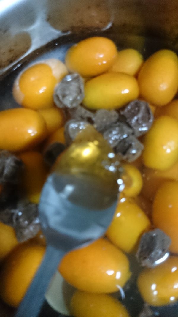 把話梅 ，冰糖 ，麥芽糖 ，水 ，金棗放在一起煮 ，邊煮邊攪拌小火煮20分