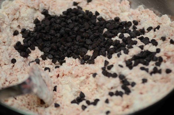 撒入葡萄乾或巧克力豆揉勻