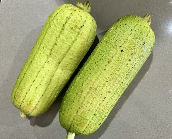 買菜不愛動手挑，回到家將絲瓜翻身，重量很輕背面身形凹陷......難怪都沒賣出去，避免變自製菜瓜布，隔天趕緊消滅。