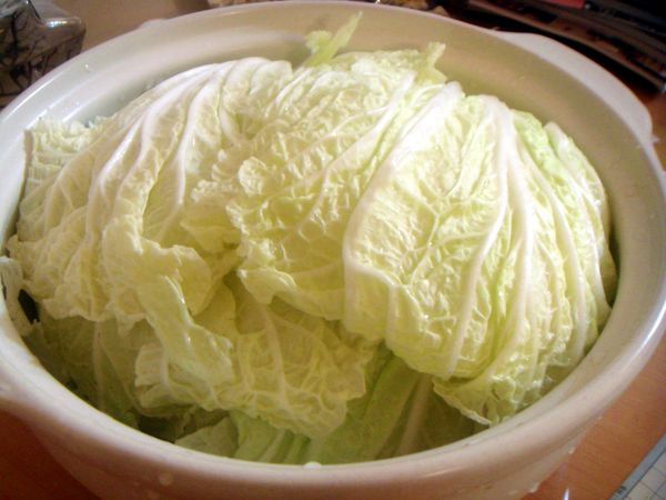 取一中型砂鍋，把洗淨的白菜擺入，白梗的部分放在最下面，葉的部分擺在上頭，加水高度至白菜的一半量，加鍋蓋，開火悶煮至滾。