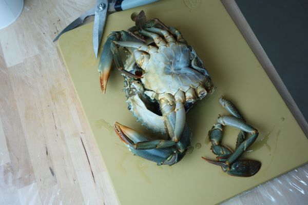 去除肺葉、呼吸器的、刷洗過外殼的蟳,用廚房剪刀支解所有的蟹腳！肚子部份分四塊,小心卵黃流失！