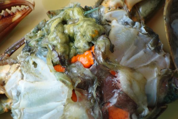 薑片先入氣炸鍋或烤箱乾烤10-15分,這樣可縮短煸薑的時間.