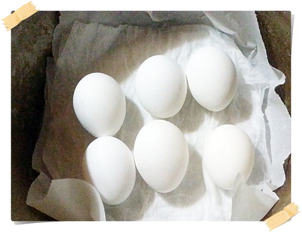 電鍋內放2張用水浸濕擰乾的廚房紙巾.擺入雞蛋.按下開關.開關跳起之後繼續悶20分鐘即完成水煮蛋