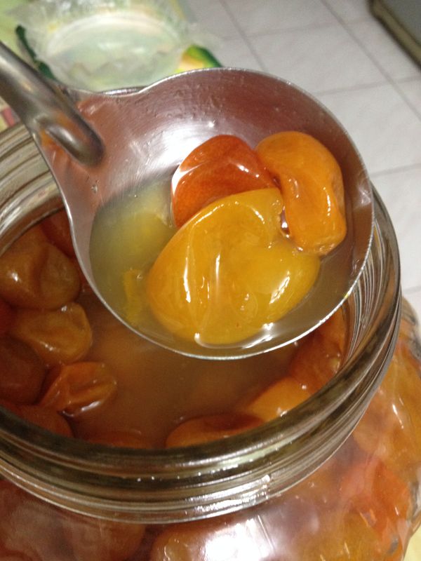 冷卻後放入器皿保存，過程中盡量避免被其他水分污染，尤其口水，會使其快速腐敗。