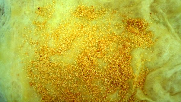 取一張潤餅皮,加入少許花生粉、糖粉、海苔粉 ,再加入高麗菜、碎蛋、豆芽菜、豆乾再捲起即可。