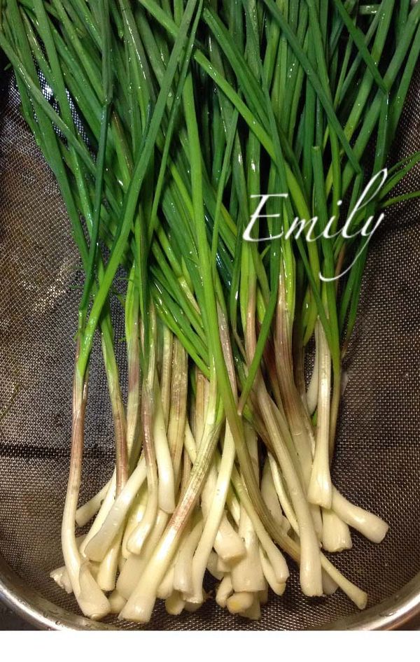 謝謝爸爸種的有機珠蔥