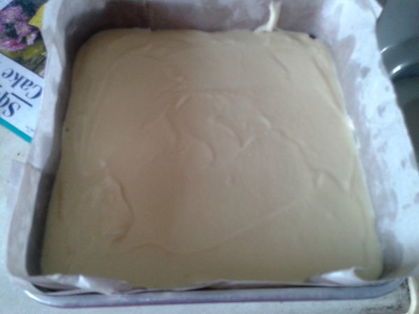 将蛋糕倒入8寸长条形/四方形烤模内