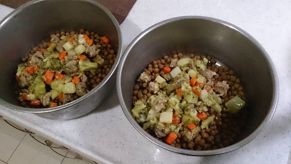 搭配原本的狗飼料，狗狗開心地都飛上天了