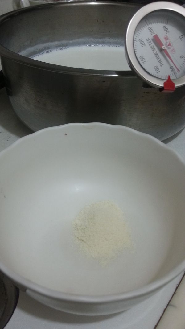 將優格菌加入42～45度的牛奶中，然後均勻攪拌。(可以先將優格菌放在小碗中，用一點點牛奶先拌勻在倒入鍋中)