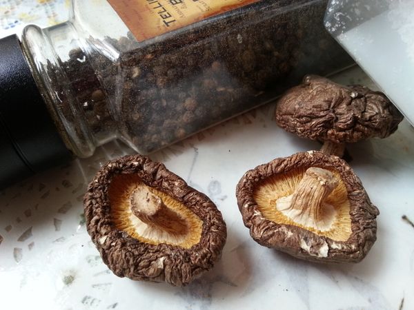 做法
1:豆渣、板豆腐稍去水分
2:荸薺、紅蘿蔔、蔭瓜、香菇(泡水後)切丁
3:所有食材與調味料一起混拌均勻
4:平鋪烤盤上(有烘培紙鋪底更佳)
5:烤箱120度預熱、烤30即可