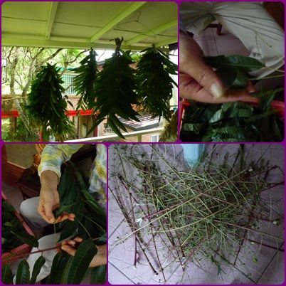 先將香椿洗淨，瀝乾，然後香椿去梗(就是只留葉子的部份)。