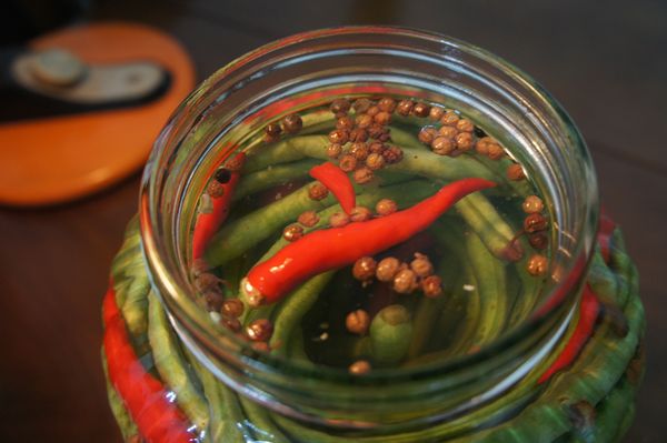 將辛香料放入，並加入鹵水至蓋過豇豆