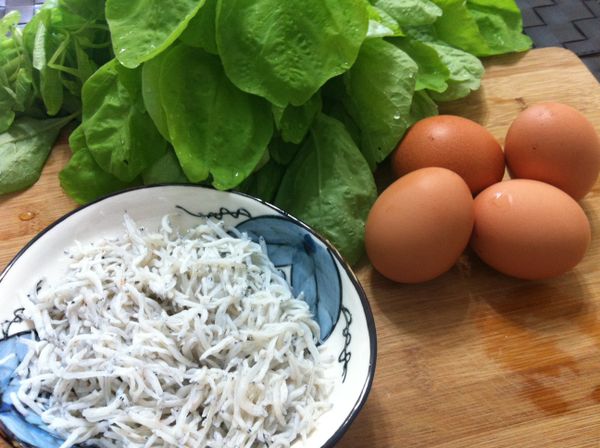 莧菜一把洗淨, 切除較老的梗後準備川燙.