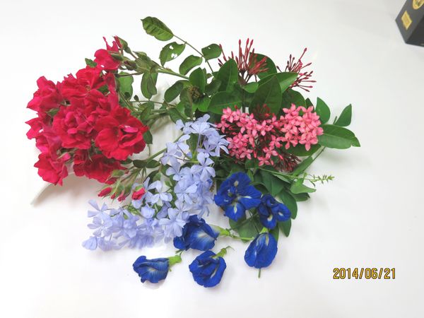 準備好花朵洗淨