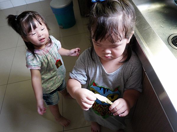 連我家菀荽跟小隻都來湊熱鬧~一起捲捲兒