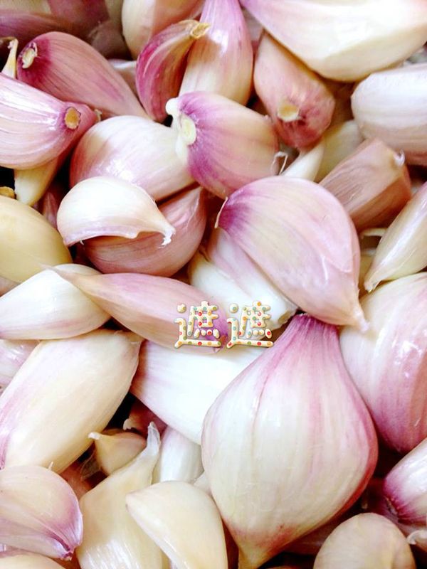 剝除後的蒜瓣有非常漂亮顏色呢