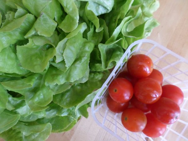 生菜葉,小番茄洗淨擦乾