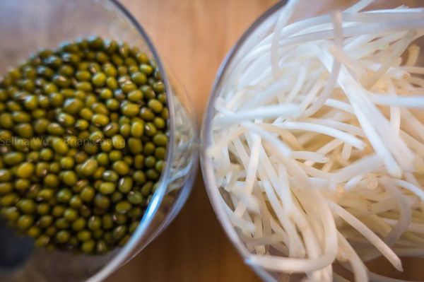 豆芽菜去頭尾、木耳切絲、紅蘿蔔切絲、蔥切絲、蒜切片備用。