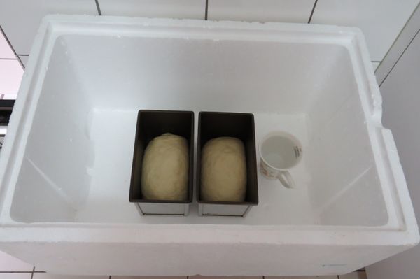放入保麗龍箱內加杯熱水，進行最後發酵，時間50分鐘