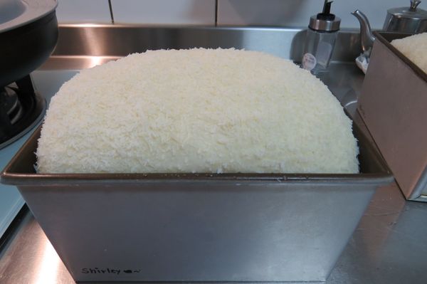 待長大超過模具後，即可入爐烘烤，上火160；下火230；時間35分，待20分鐘後表面上色後，翻面烘烤，並將上火關掉，再蓋白報紙在表面上《椰子粉可有可無》