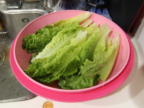 生菜洗淨備用，先放入冰箱中保鮮