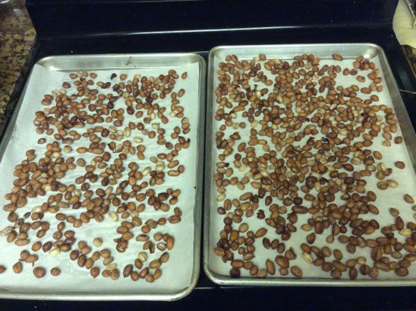 瀝乾的花生舖平在烤盤上，儘量不要重疊，並將八角及脫落的花生衣挑出。