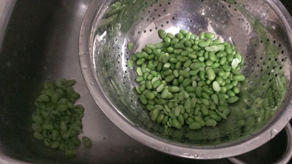 先將毛豆用中火水煮5~7分鐘(不想吃太軟建議5分鐘即可)；後將毛豆的"膜衣"輕搓去掉