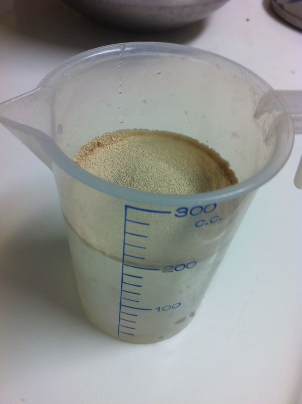 酵母、糖倒入水中攪拌待全部融解。