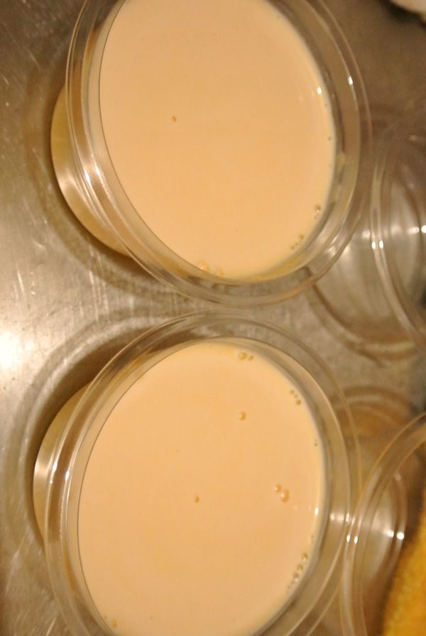 倒入器皿內，放入冰箱冷藏