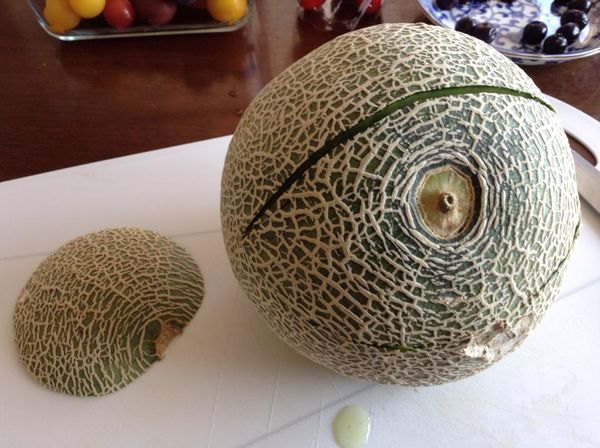 把底座朝下放好。
在蒂頭的左右兩面切一個眼睛狀的凹槽，左右間距要拿捏好。大概距蒂頭約3公分的地方。