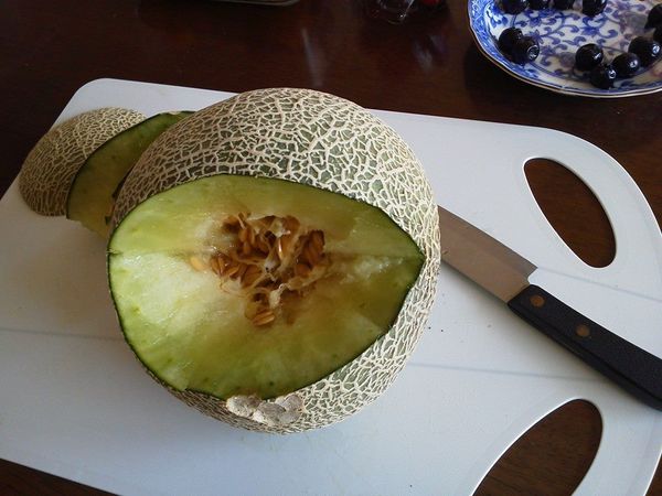 像這樣。這就是青蛙的嘴巴。