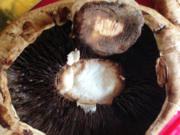 杏鮑菇及波特菇稍微用水洗淨，馬上用廚房紙巾將水份擦乾。