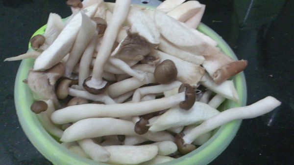 雙菇輕輕用水沖掉表面的塵埃，杏鮑菇切粗條