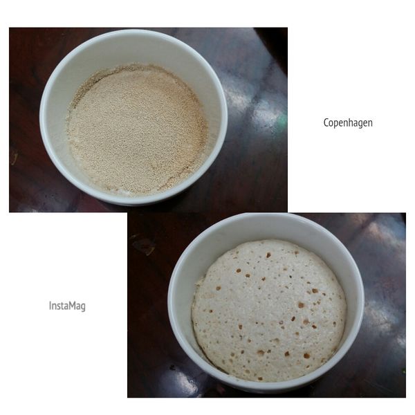 酵母粉、一小搓糖(份量中取)沖入50cc溫水，靜罝5分鐘使酵母活化。