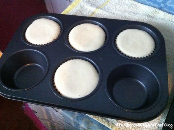 從微高處倒入模型裡(此法可將大氣泡消除)