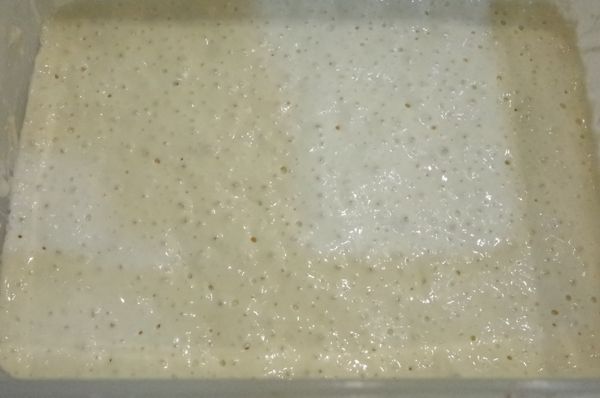 確認麵團漲成兩倍大且氣孔明顯