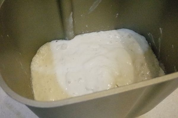 將補充材料除了酵母粉外同發酵麵種一起放入麵包機中,補充材料中的酵母粉放在酵母粉專用內槽,然後將麵包機選項按到麵包麵團選項功能待麵包機功能完成打開麵包機查看麵團是否膨脹兩到三倍若沒有請讓麵團在關機後的麵包機裏繼續發酵