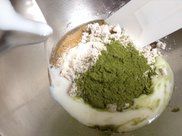 [抹茶麵團]取一個乾淨的攪拌盆，混合糖、鹽、油、速發酵母、粉類。牛奶批次加入攪拌盆中，攪拌均勻至稍微成團即可，建議保留1/3左右之後慢慢添加。