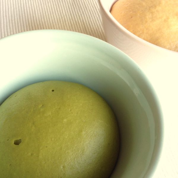 [南瓜麵團]將麵團整成圓形，放入抹少許油的容器並包上保鮮膜，同時從冰箱取出[抹茶麵團]，一起在室溫發酵1小時左右至兩倍大。