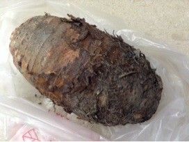 芋頭泥製作：
將芋頭削皮後，切成塊，泡一下水後，放入蒸鍋中，蒸至軟熟。
趁熱加入砂糖、奶油和少許牛奶（適芋頭乾溼程度而訂，我加約70CC的牛奶）充分搗碎成泥。