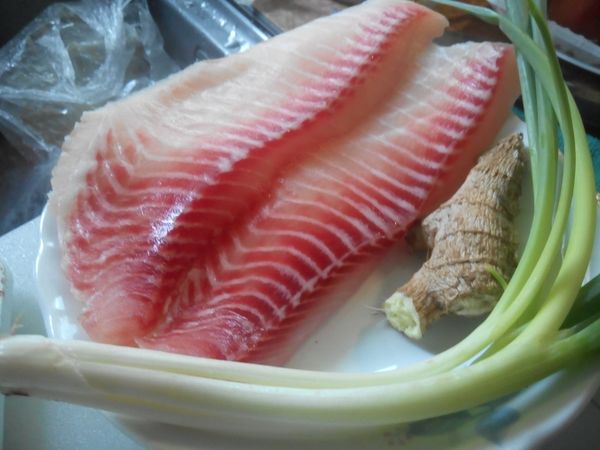食材: 鯛魚片一份.薑段.青蔥