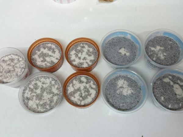 稍冷卻些倒入模杯中放冰箱冷藏至凝固即可食用。