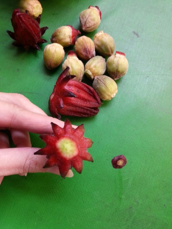 先將洛神花削掉一點點蒂頭