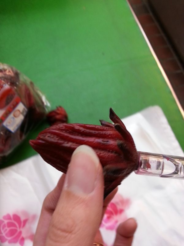 用原子筆管對著洛神花底部