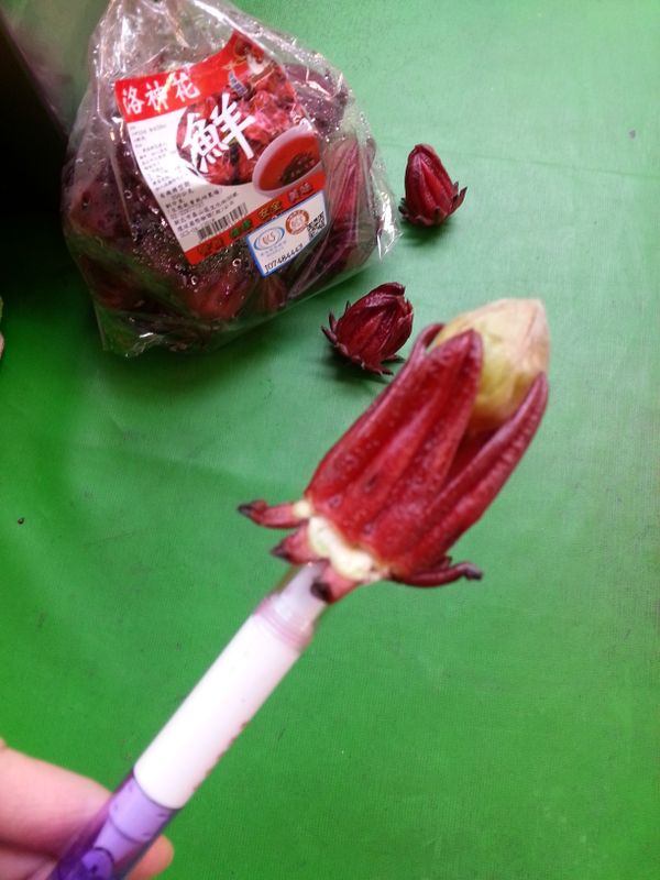 一手握著洛神花，一手拿著筆管往上搓