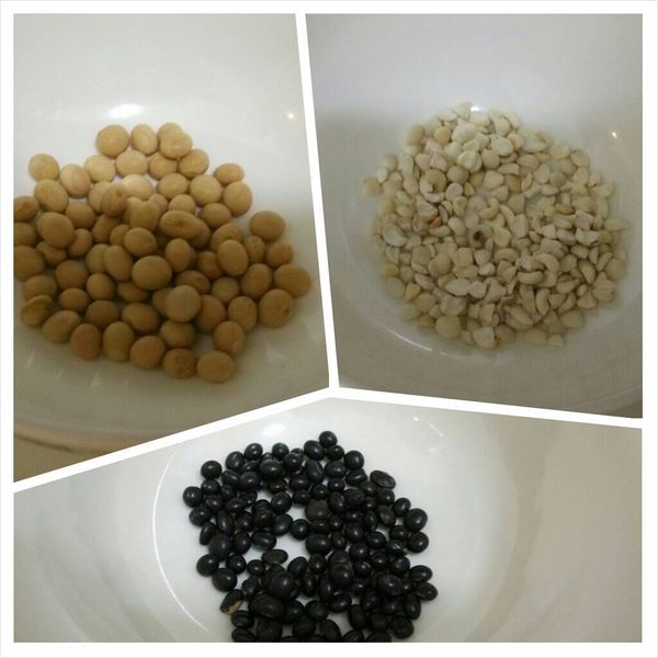 備料: 黑豆,黃豆,薏仁 洗淨