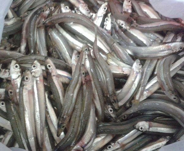 先將銀魚洗淨，用廚紙吸乾水份